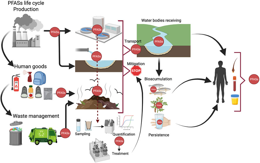 Environmental Factor - April 2022: PFAS water filter developed through  NIEHS funding