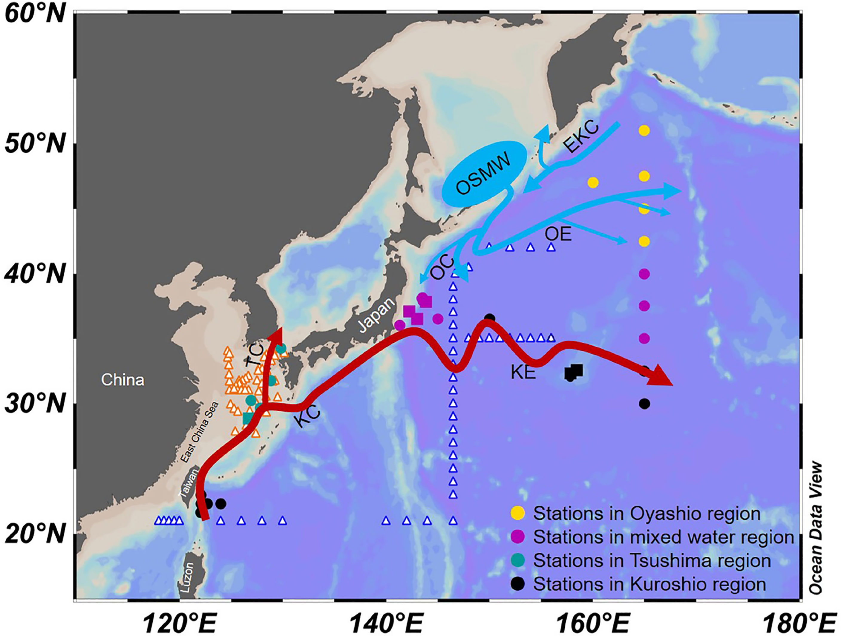 Frontiers Phytoplankton Distributions In The Kuroshio Oyashio Region 