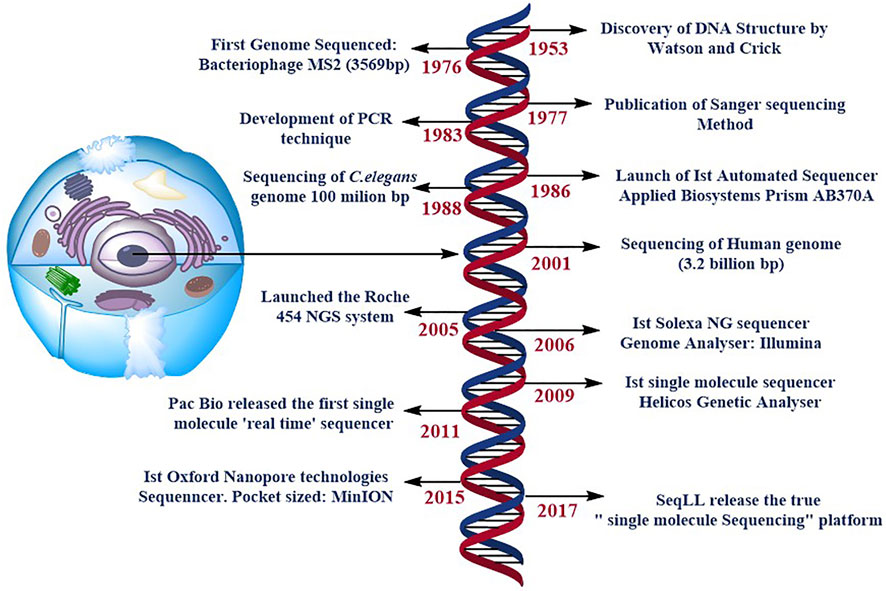 A network-guided protocol to discover susceptibility genes in