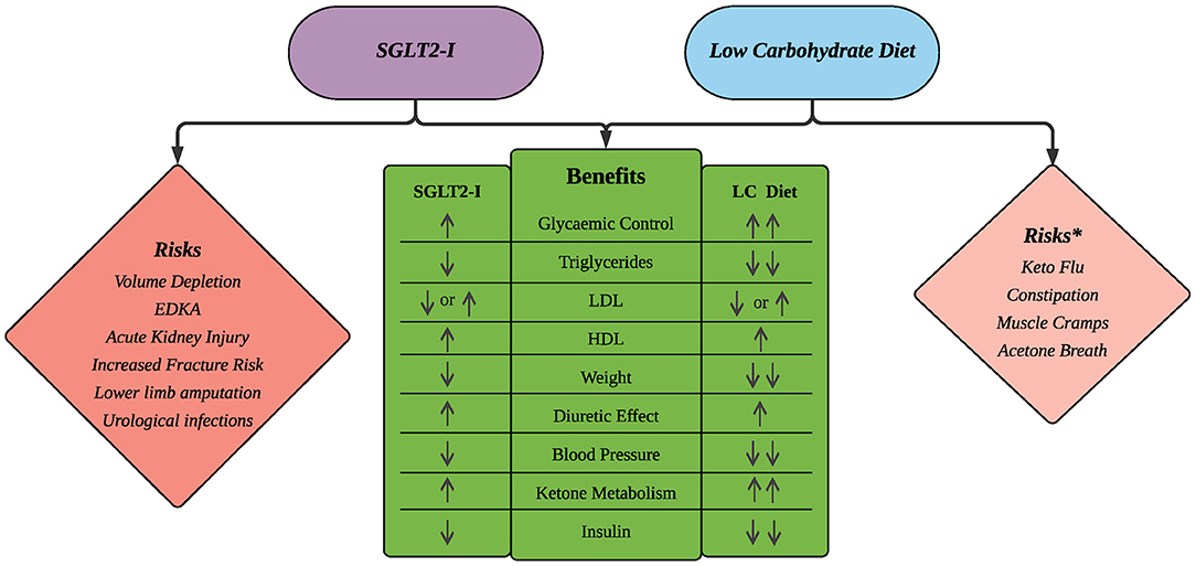 Carbohydrate quality and human health: a series of systematic reviews and meta-analyses - The Lancet