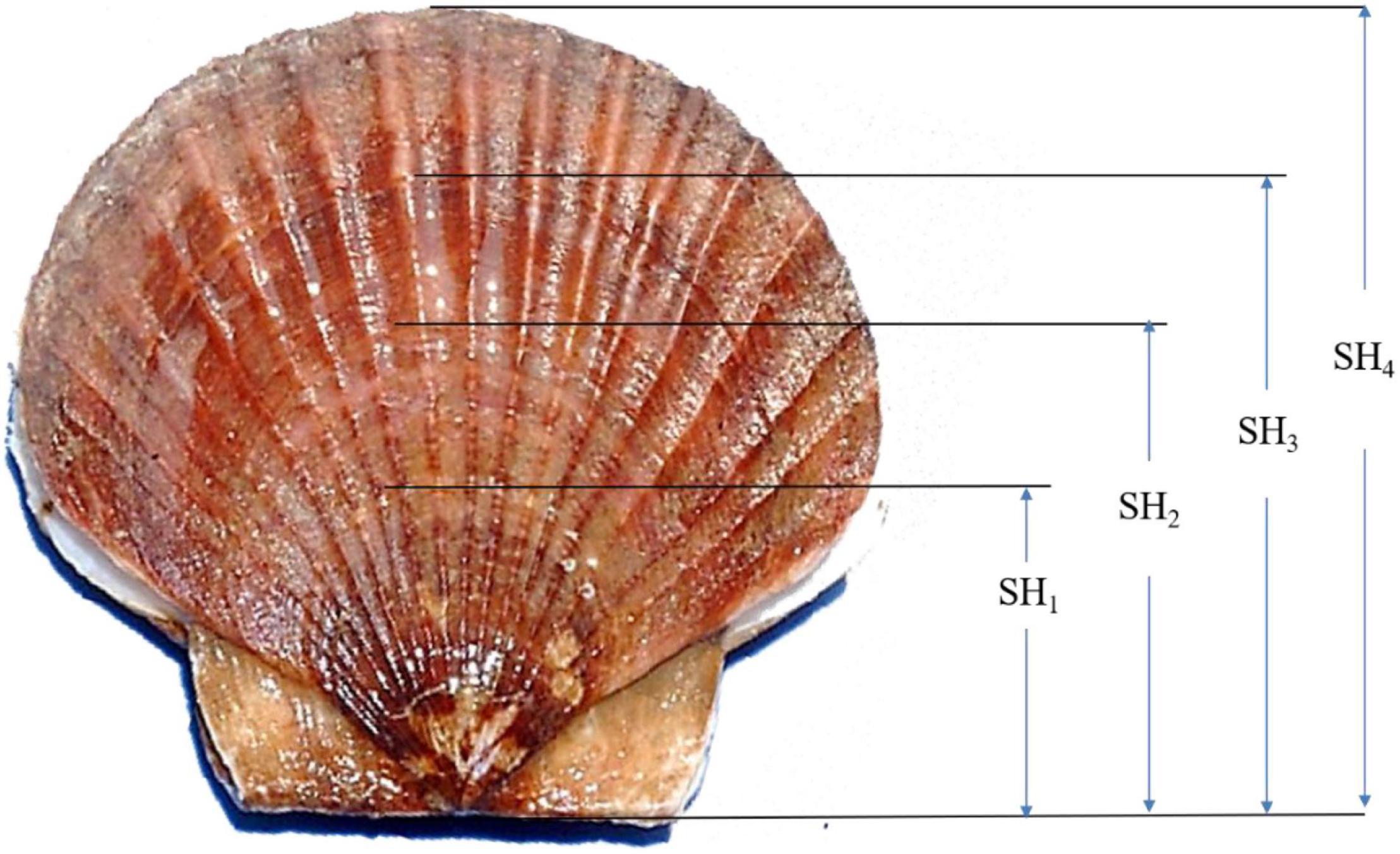 Frontiers  Genetic Evaluation of Growth and Survival-Related