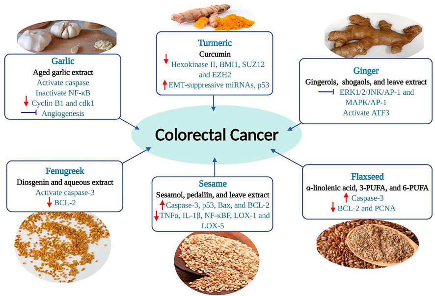 Herbal remedies for tumor prevention