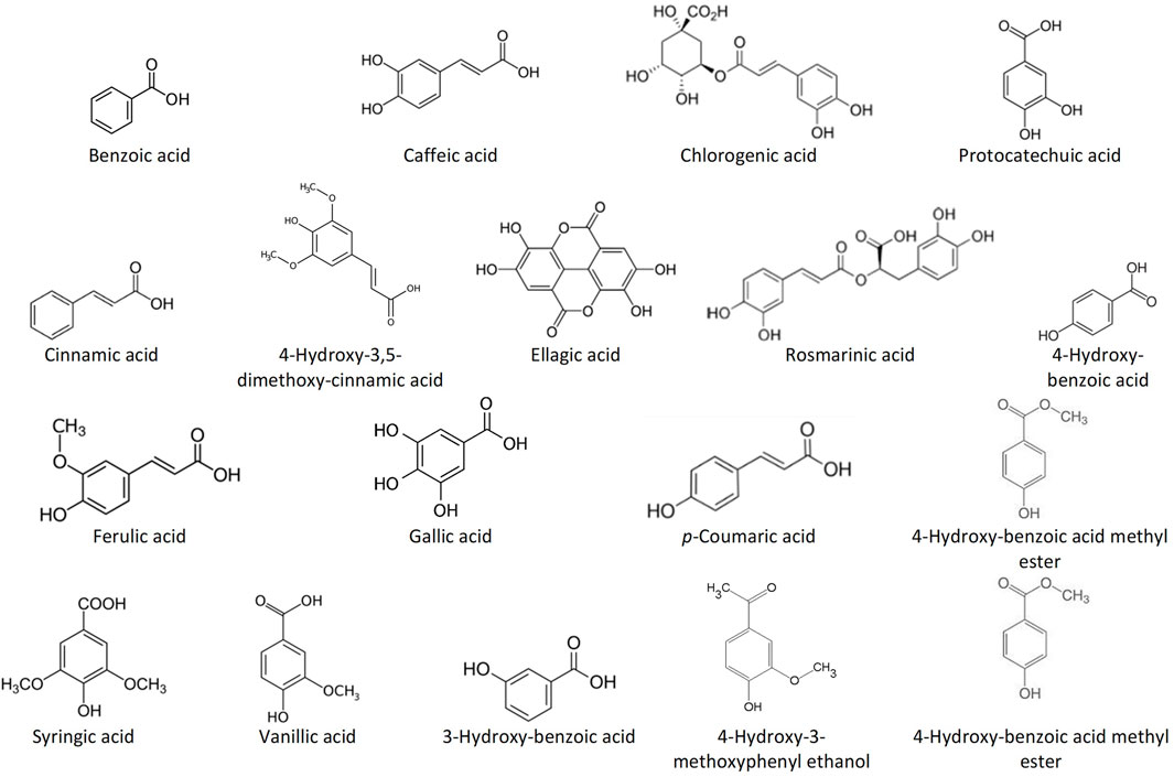 Alginate De Sodium – Special Ingredients Europe