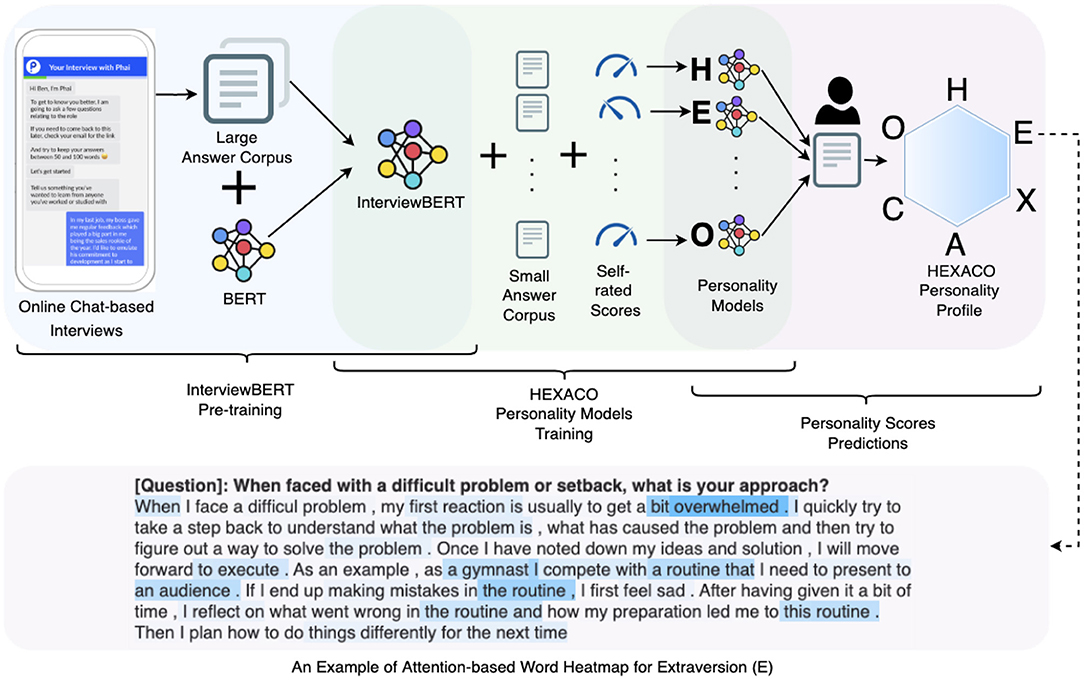 Frontiers Explainable Personality Prediction Using Answers to Open-Ended Interview Questions