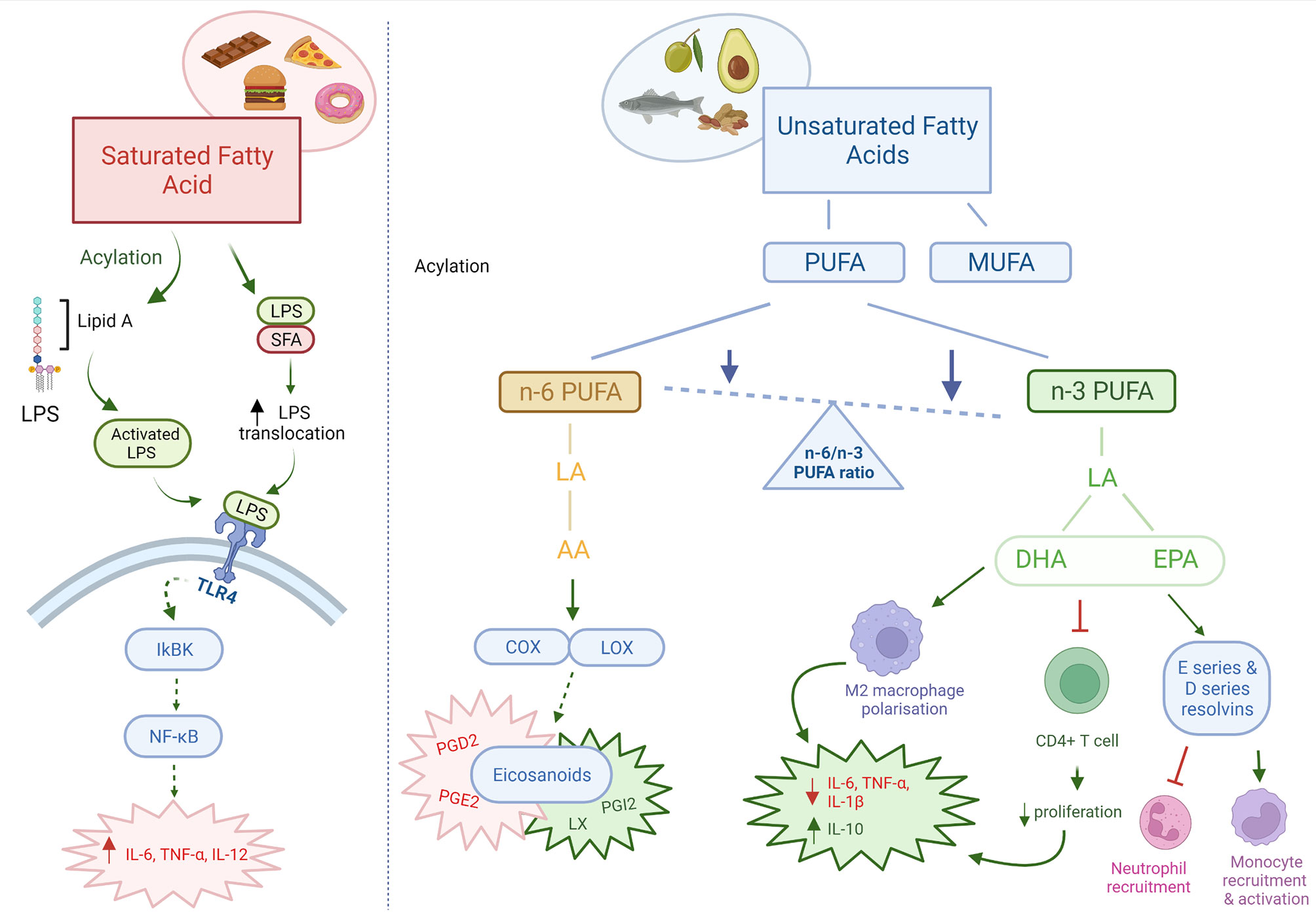 Frontiers  Effects of Oral Glucose-Lowering Agents on Gut Microbiota and  Microbial Metabolites