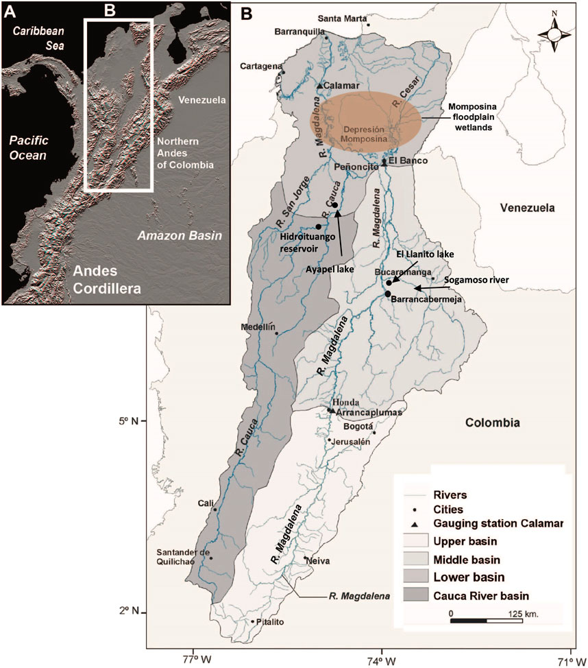 www.frontiersin.org