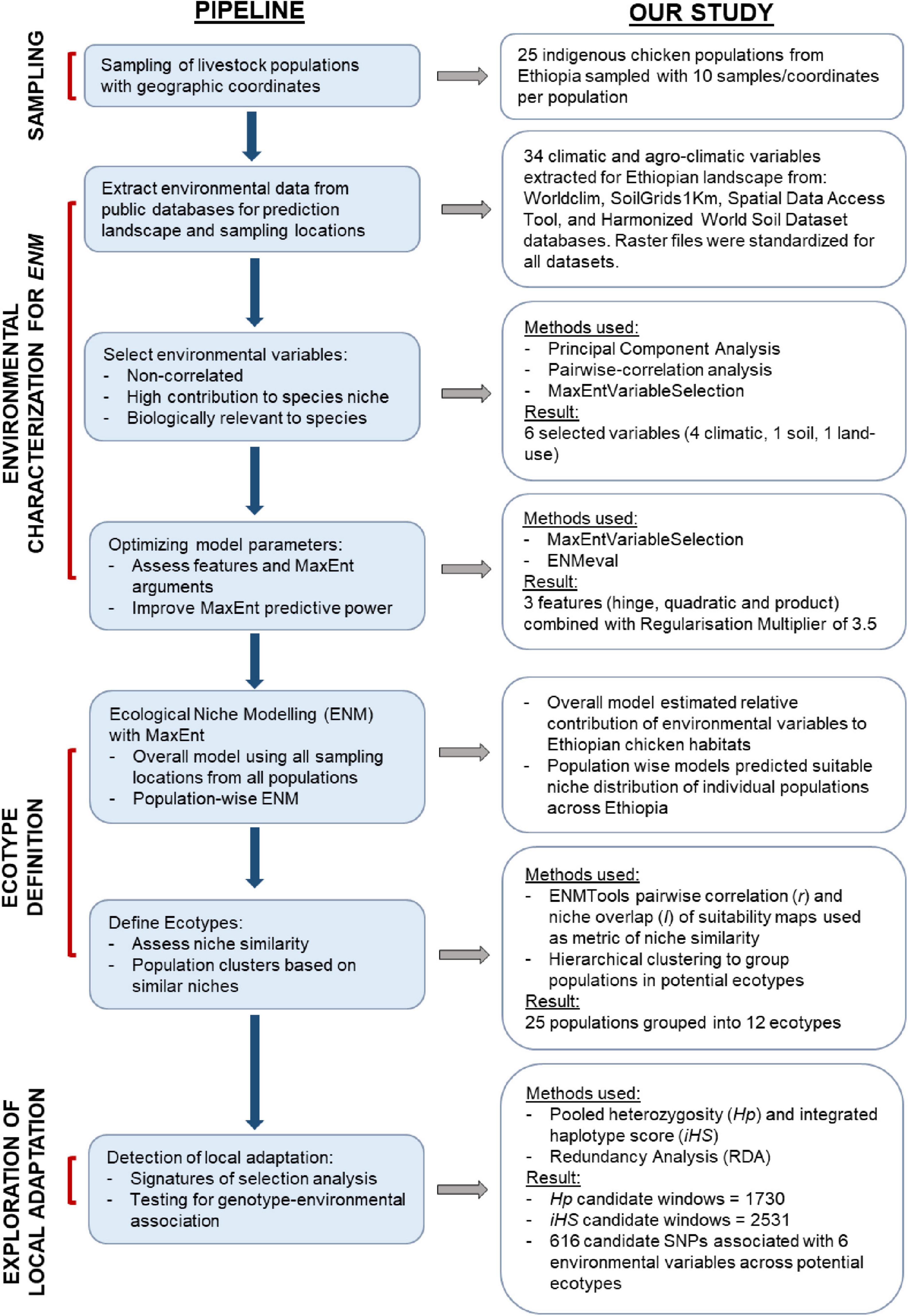 Frontiers  Ecological niche modelling for delineating livestock ecotypes  and exploring environmental genomic adaptation: The example of Ethiopian  village chicken