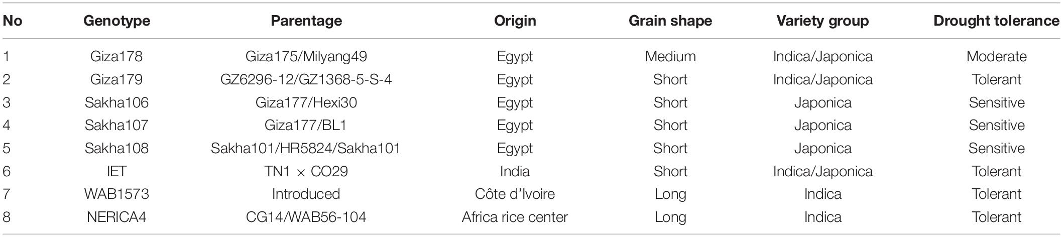 www.frontiersin.org