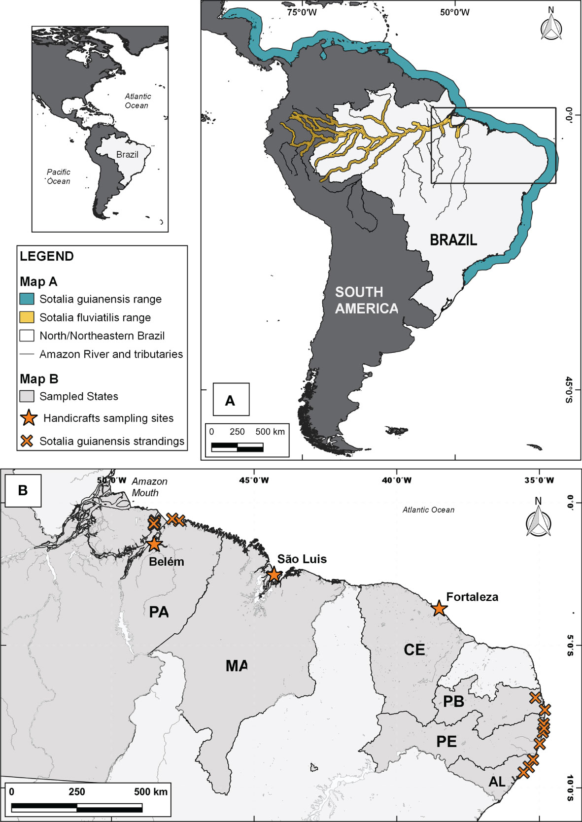 www.frontiersin.org