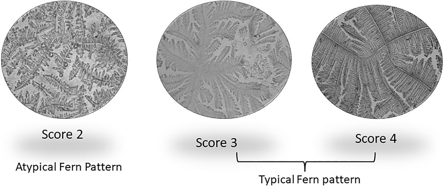 www.frontiersin.org