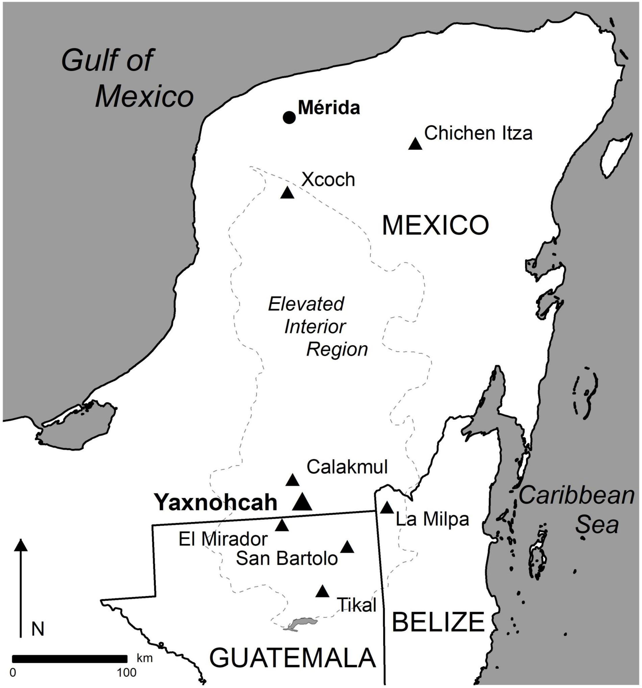 Frontiers  Paleoecological Studies at the Ancient Maya Center of Yaxnohcah  Using Analyses of Pollen, Environmental DNA, and Plant Macroremains