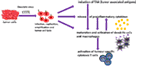 www.frontiersin.org