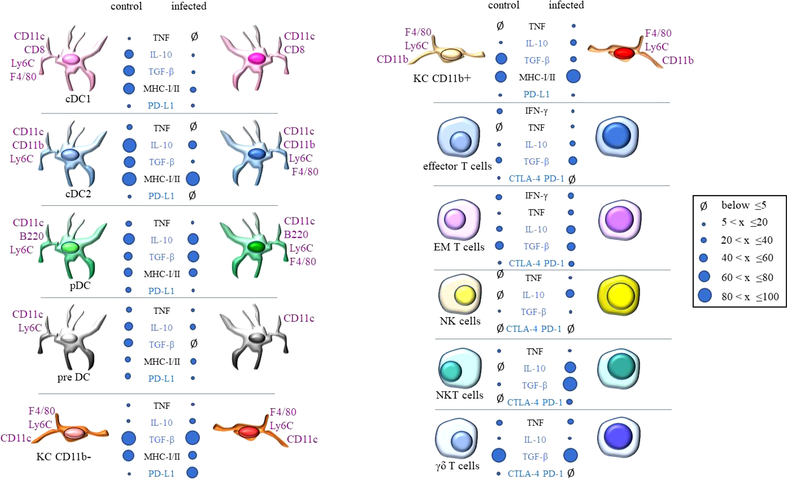 Frontiers  Comparative microRNA profiling of Trypanosoma cruzi infected  human cells