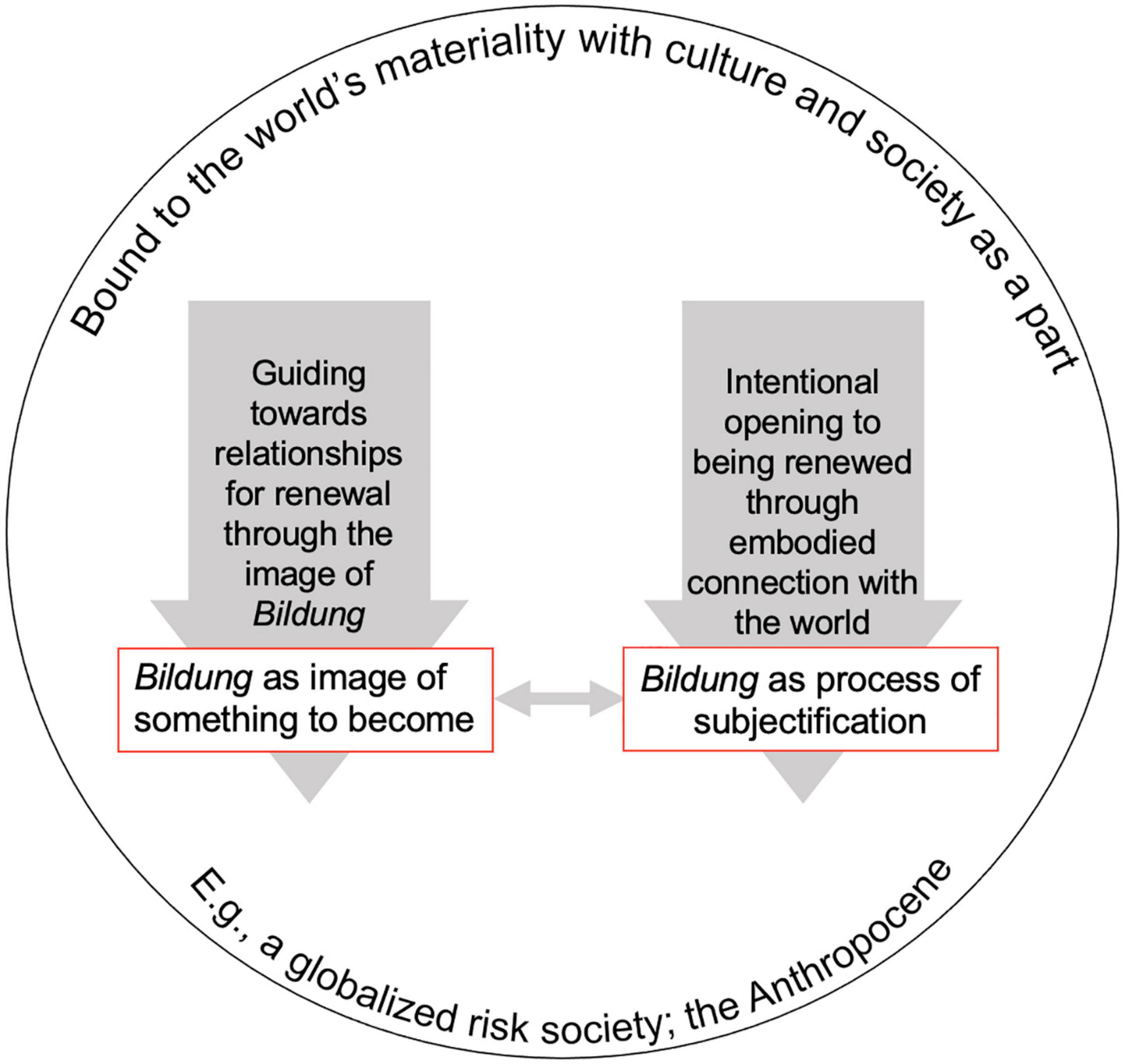 What's the meaning of “tool” here? What does it mean to look like or be a  tool? : r/EnglishLearning