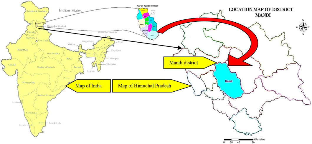 www.frontiersin.org
