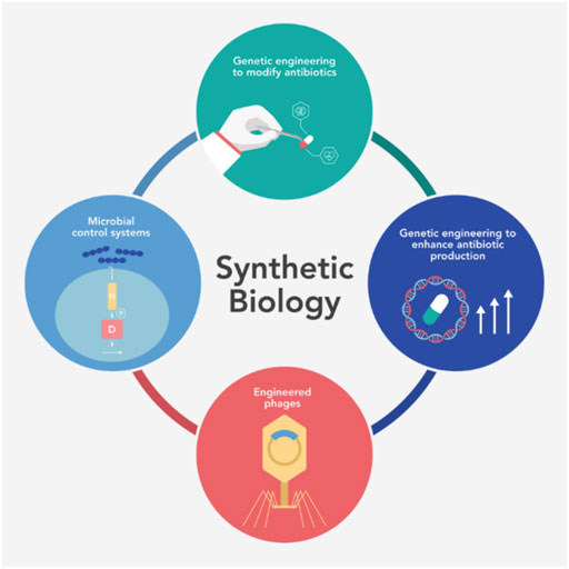 synthetic biology phd germany