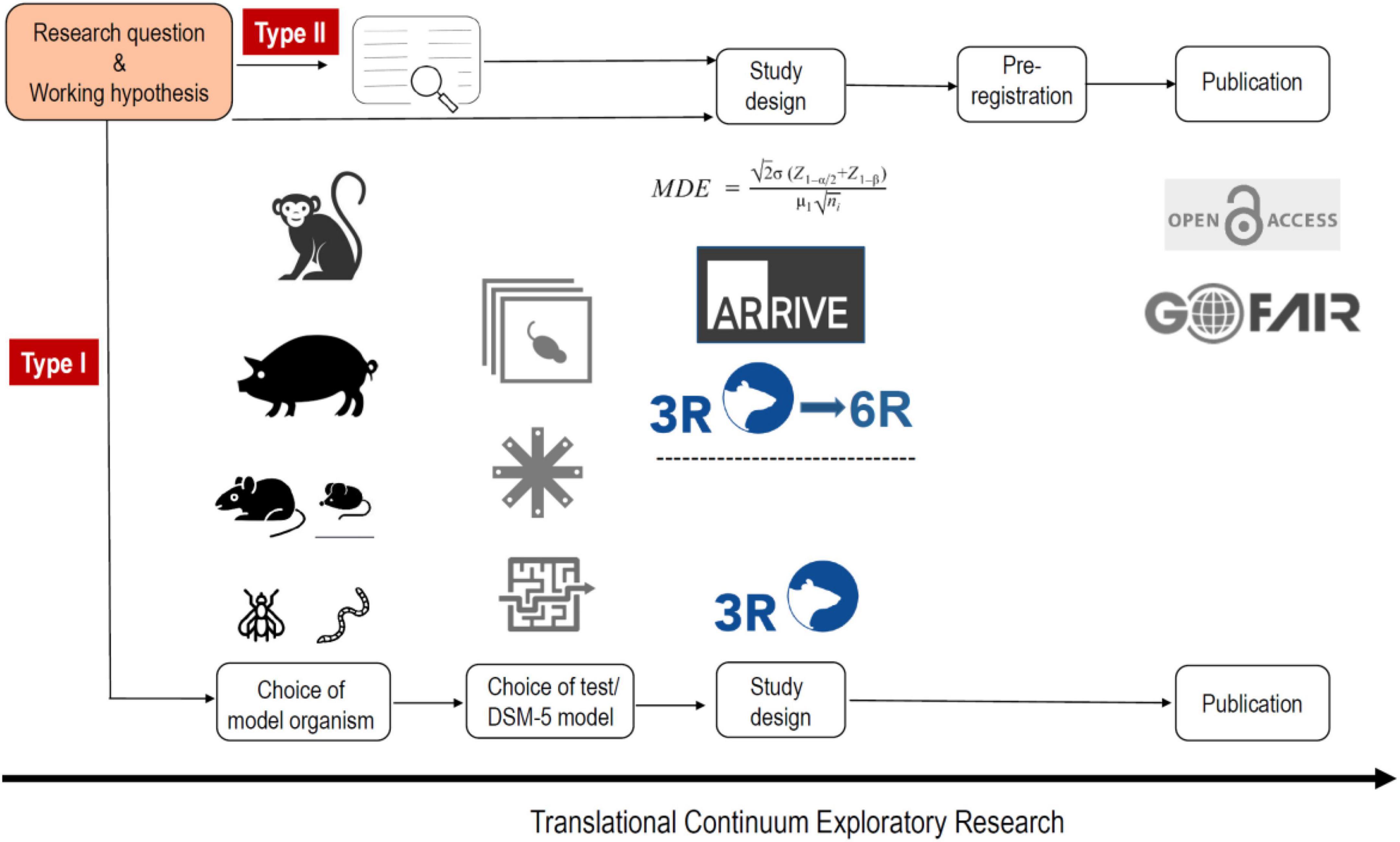 Publications Archive - Animal Logic