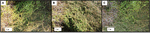 www.frontiersin.org