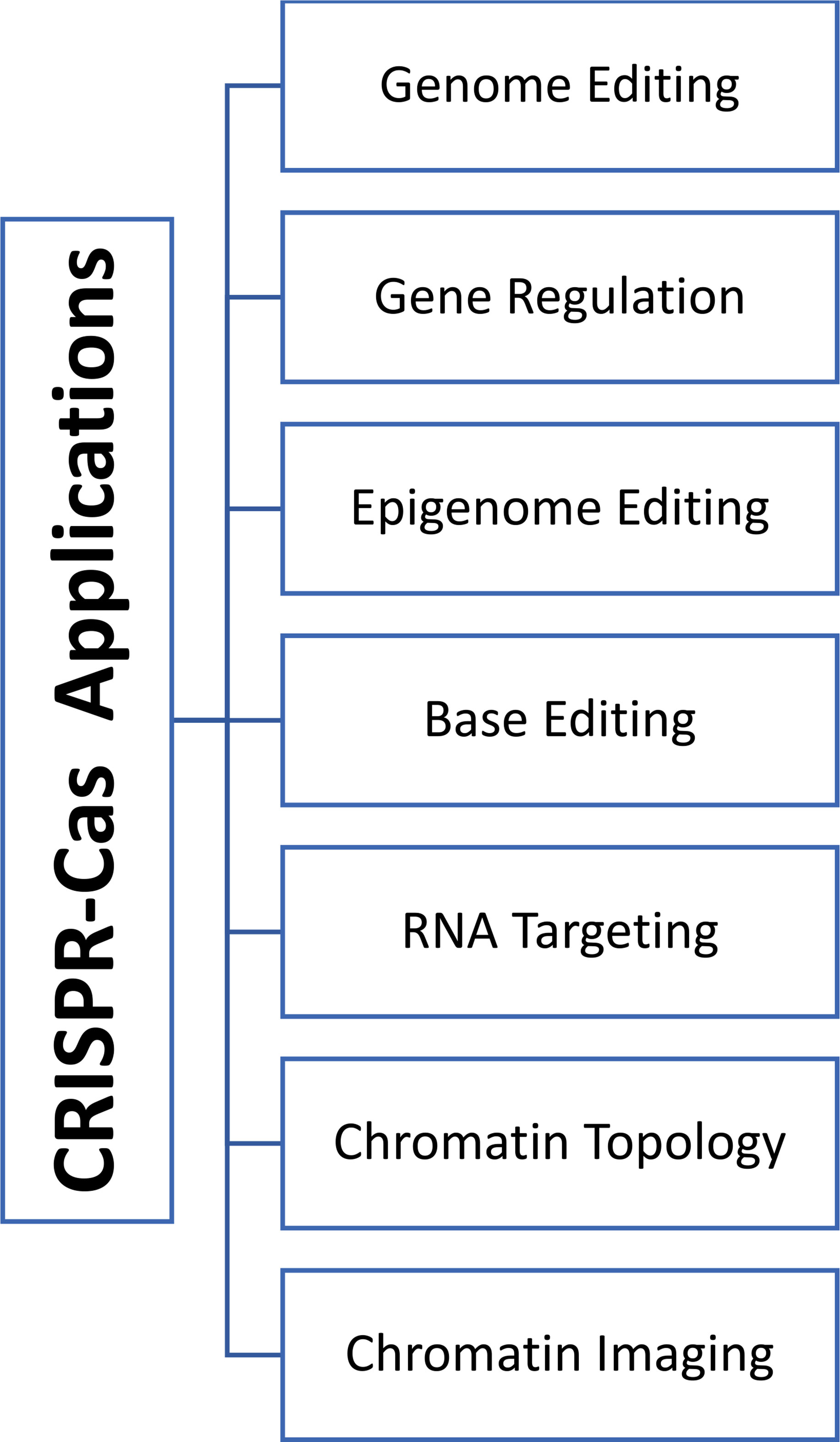 Generations Patch has added Edit in CAS Cheat