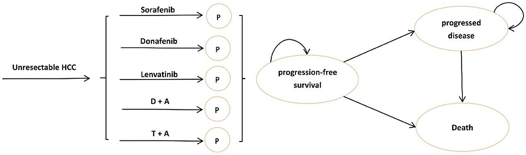 www.frontiersin.org