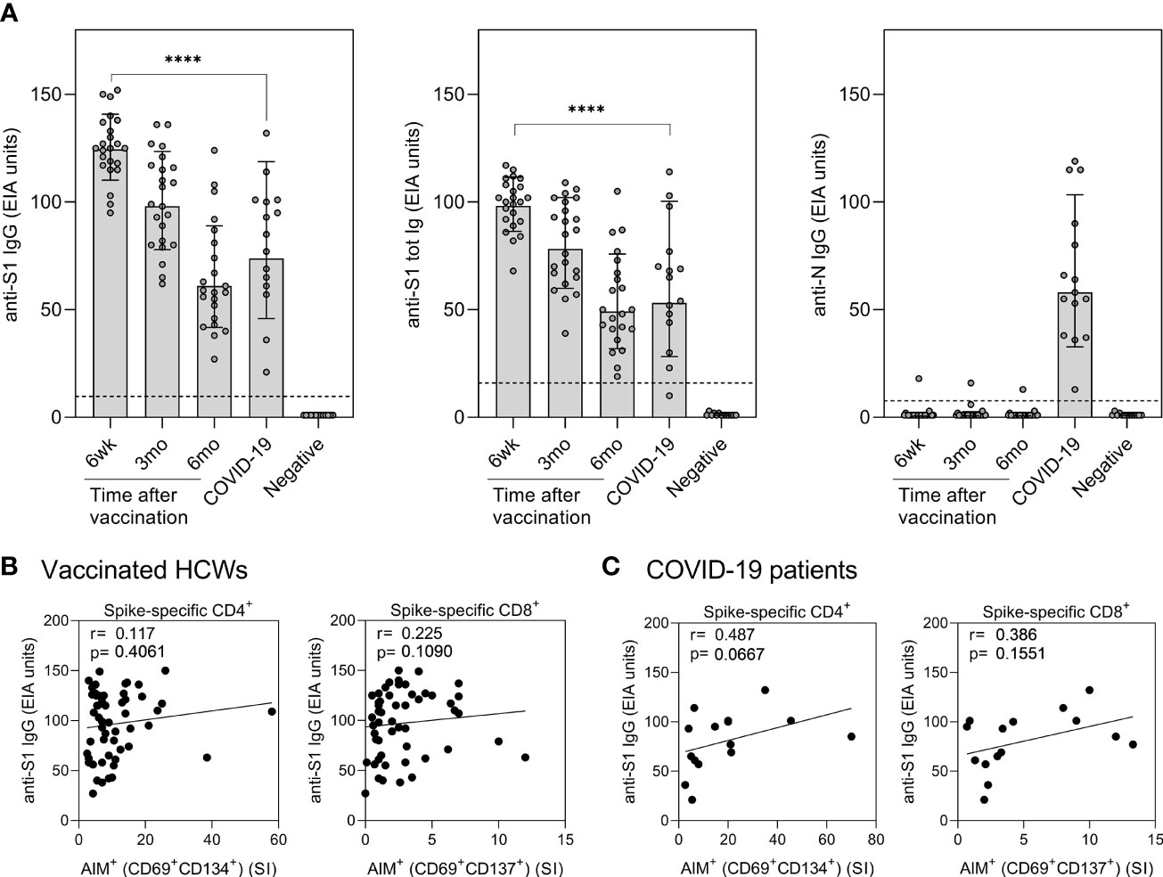 Frontiers Long Lasting T Cell Responses In Bnt162b2 Covid 19 Mrna