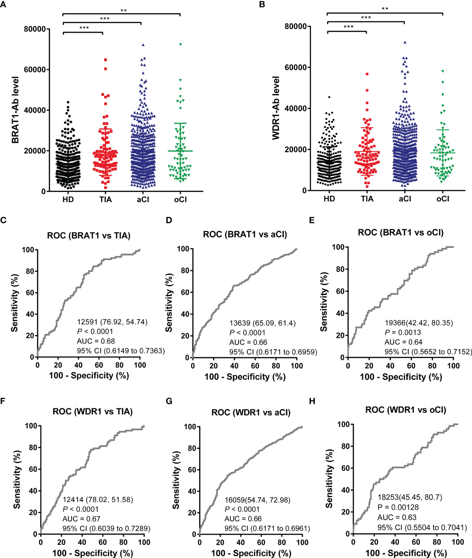 Frontiers | Serum Anti-BRAT1 is a Common Molecular Biomarker for 