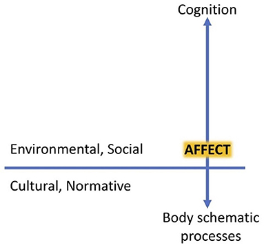 Phenomenology and the Social Context of Psychiatry: Social