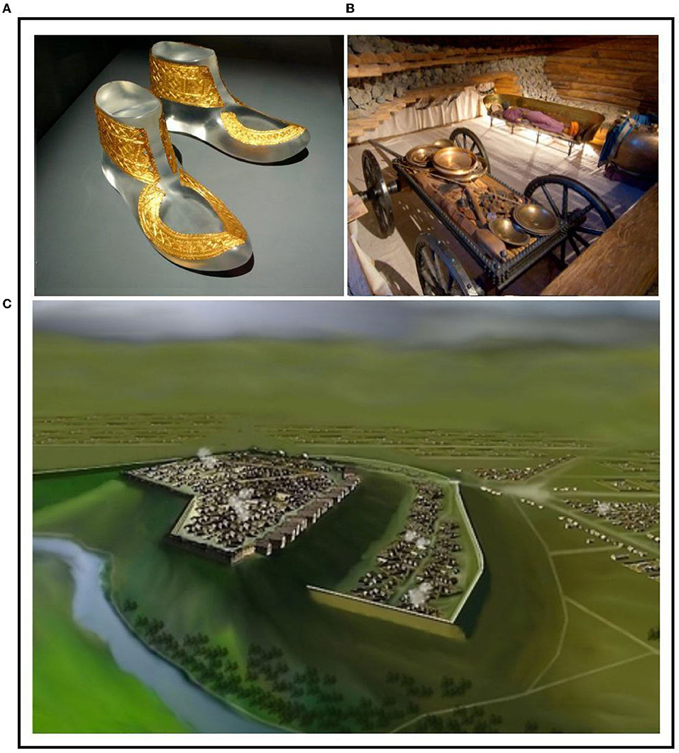 www.frontiersin.org