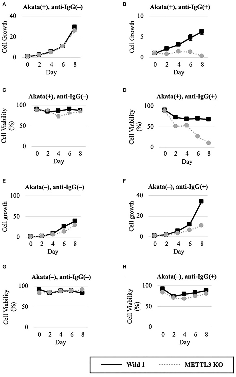 Frontiers  EBV Exploits RNA m6A Modification to Promote Cell Survival and  Progeny Virus Production During Lytic Cycle