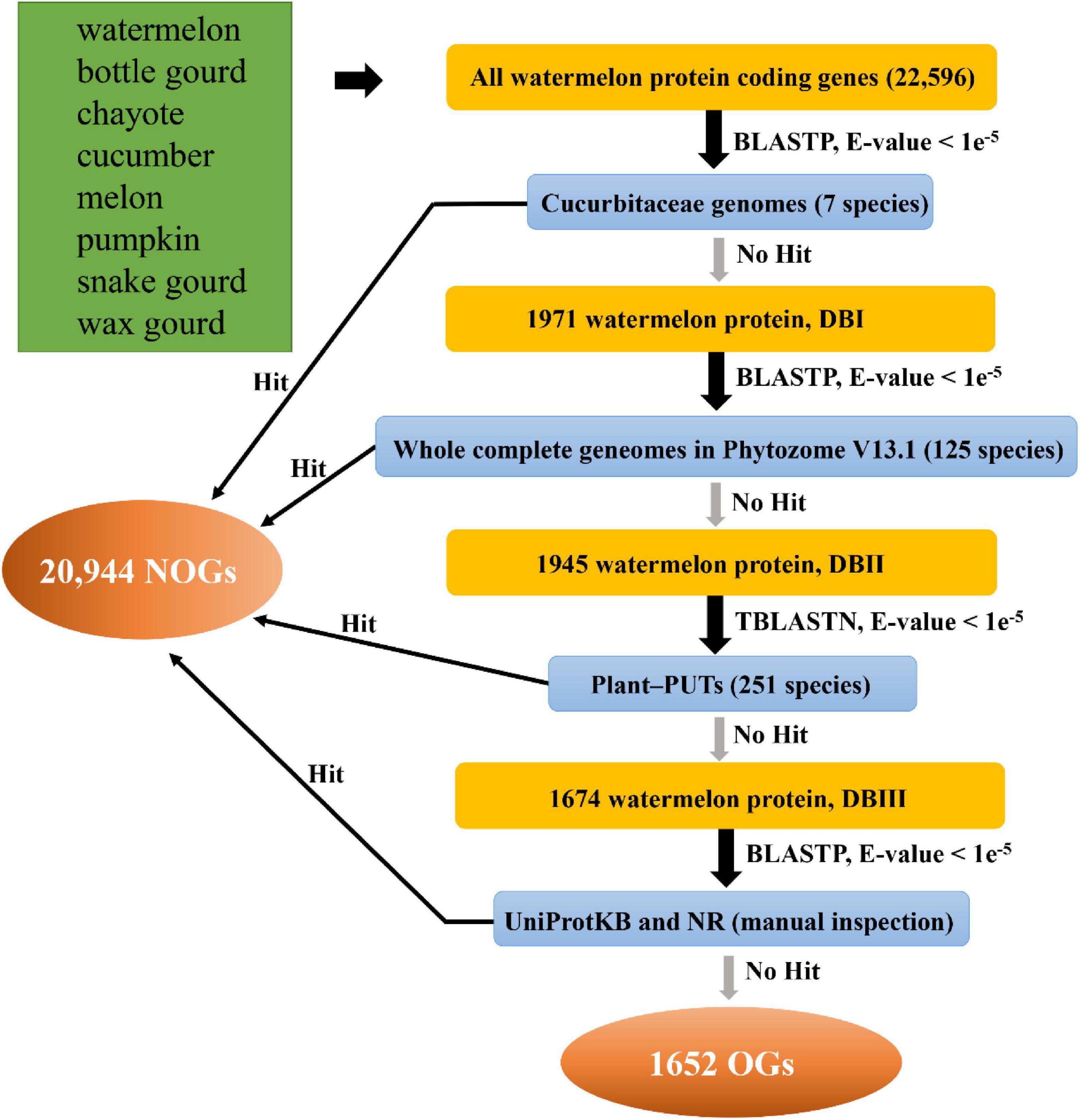 Genetic, cellular, and structural characterization of the membrane