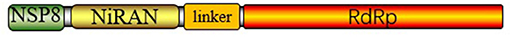www.frontiersin.org