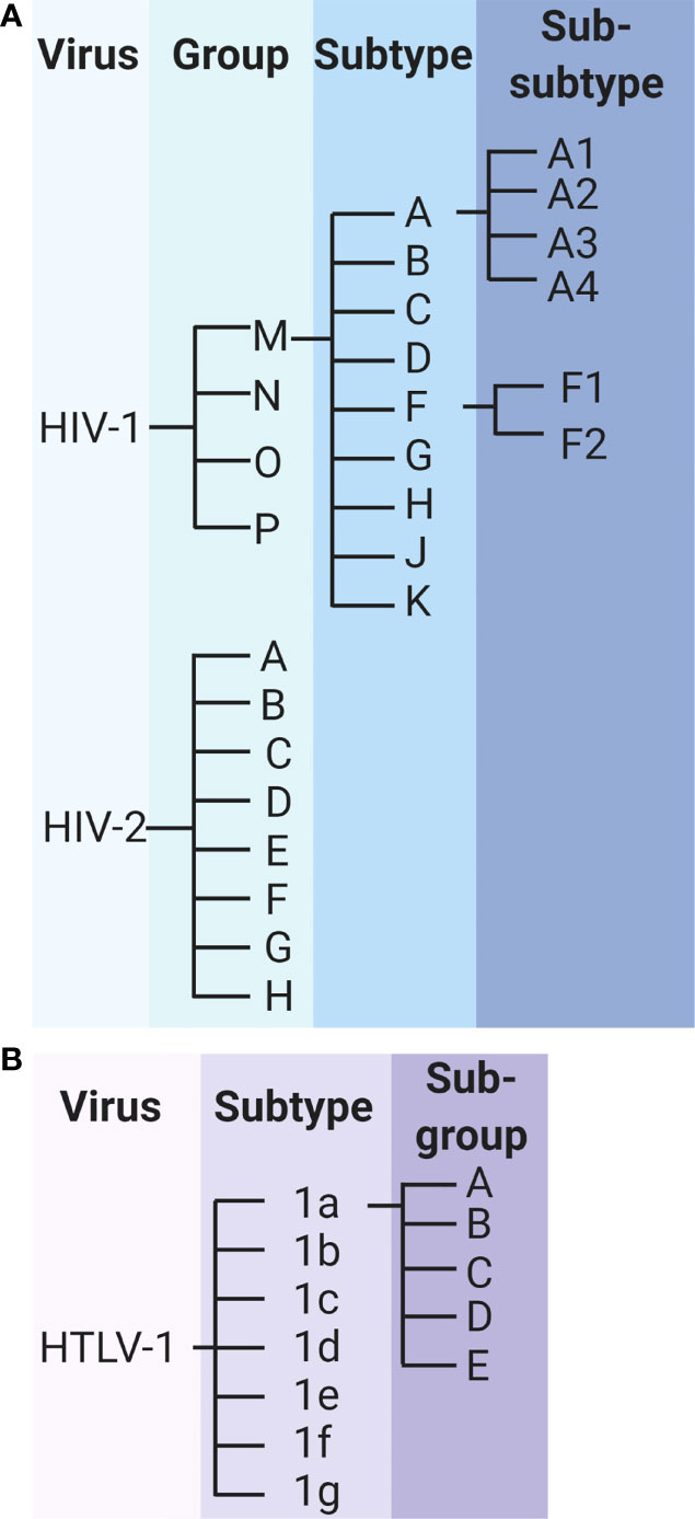 www.frontiersin.org
