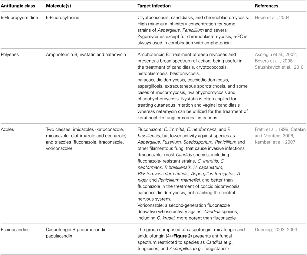 frontiers mycoses and antifungals reviewing the basis of mycoses