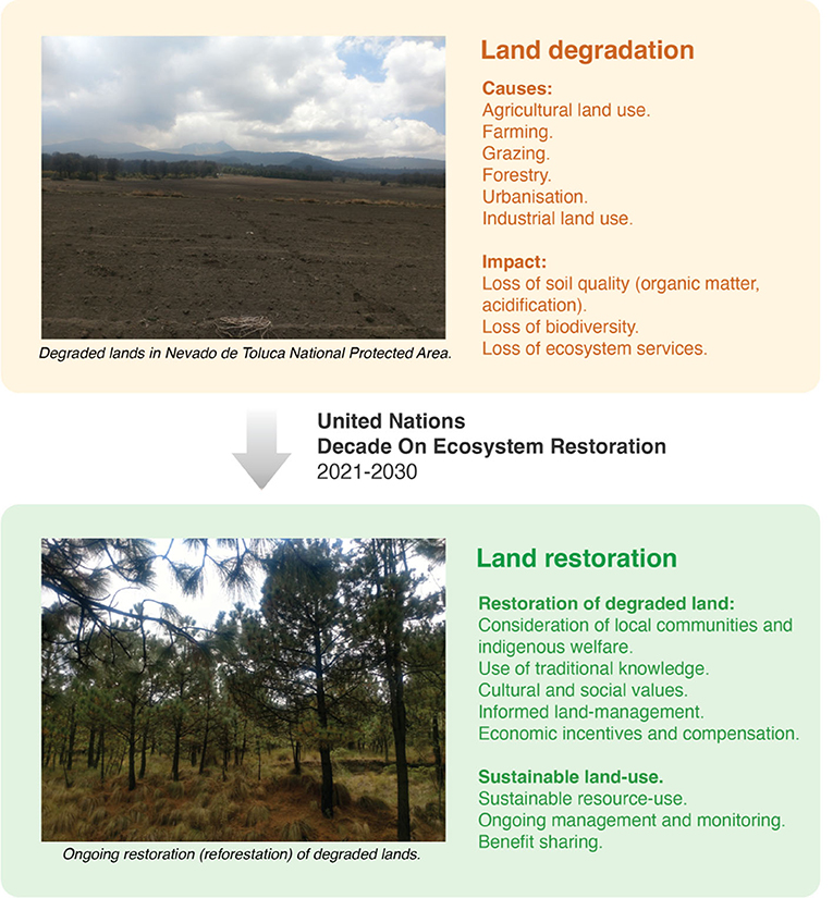 IV. Benefits of Habitat Restoration for Wildlife