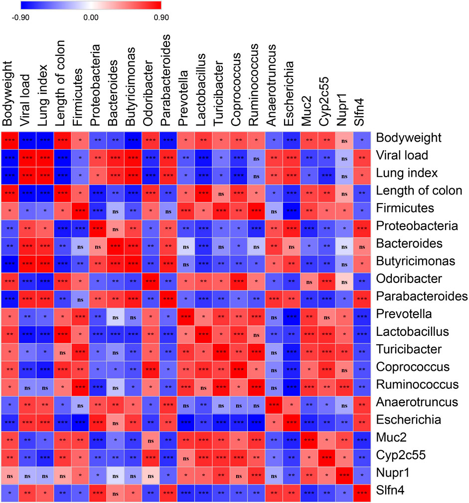 Frontiers | Qingfeiyin Decoction Inhibits H1N1 Virus ...