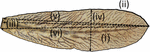 www.frontiersin.org