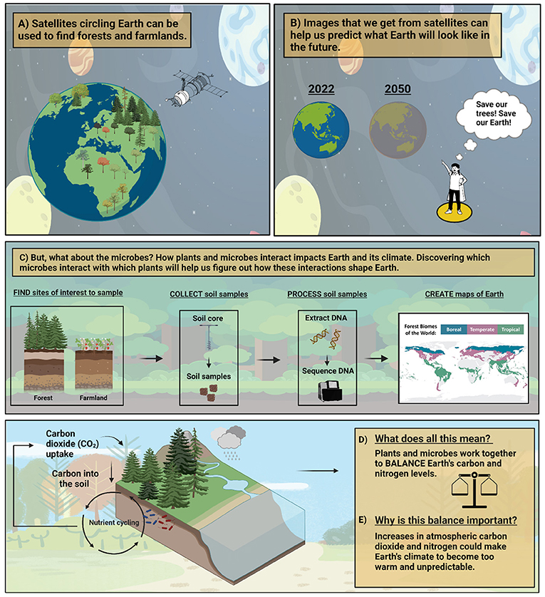Figure 3 - Plants and microbes come together across the globe.