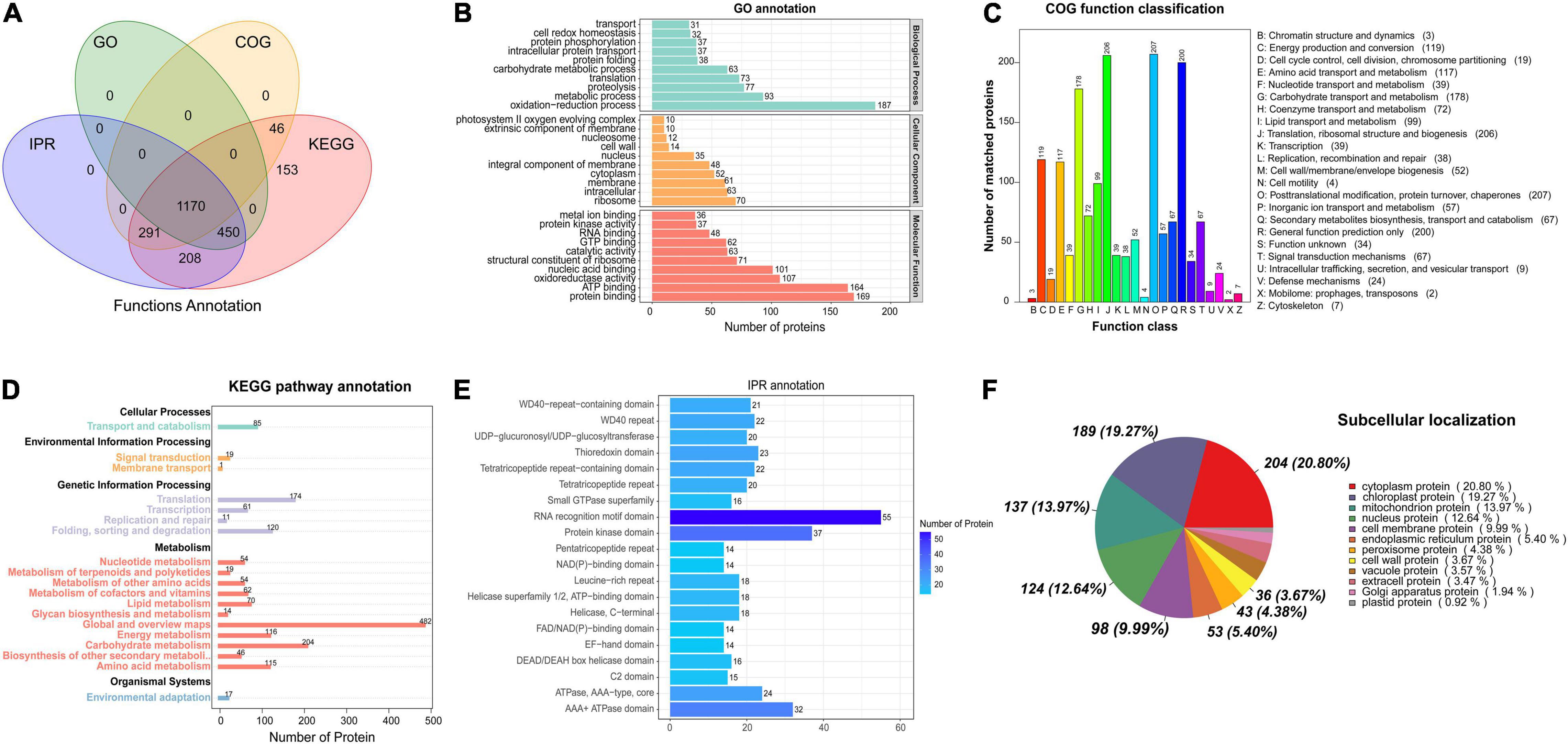 InterProScan 5: Large scale protein function, Posters