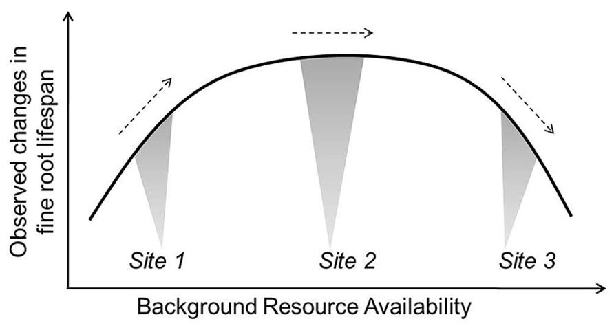 www.frontiersin.org