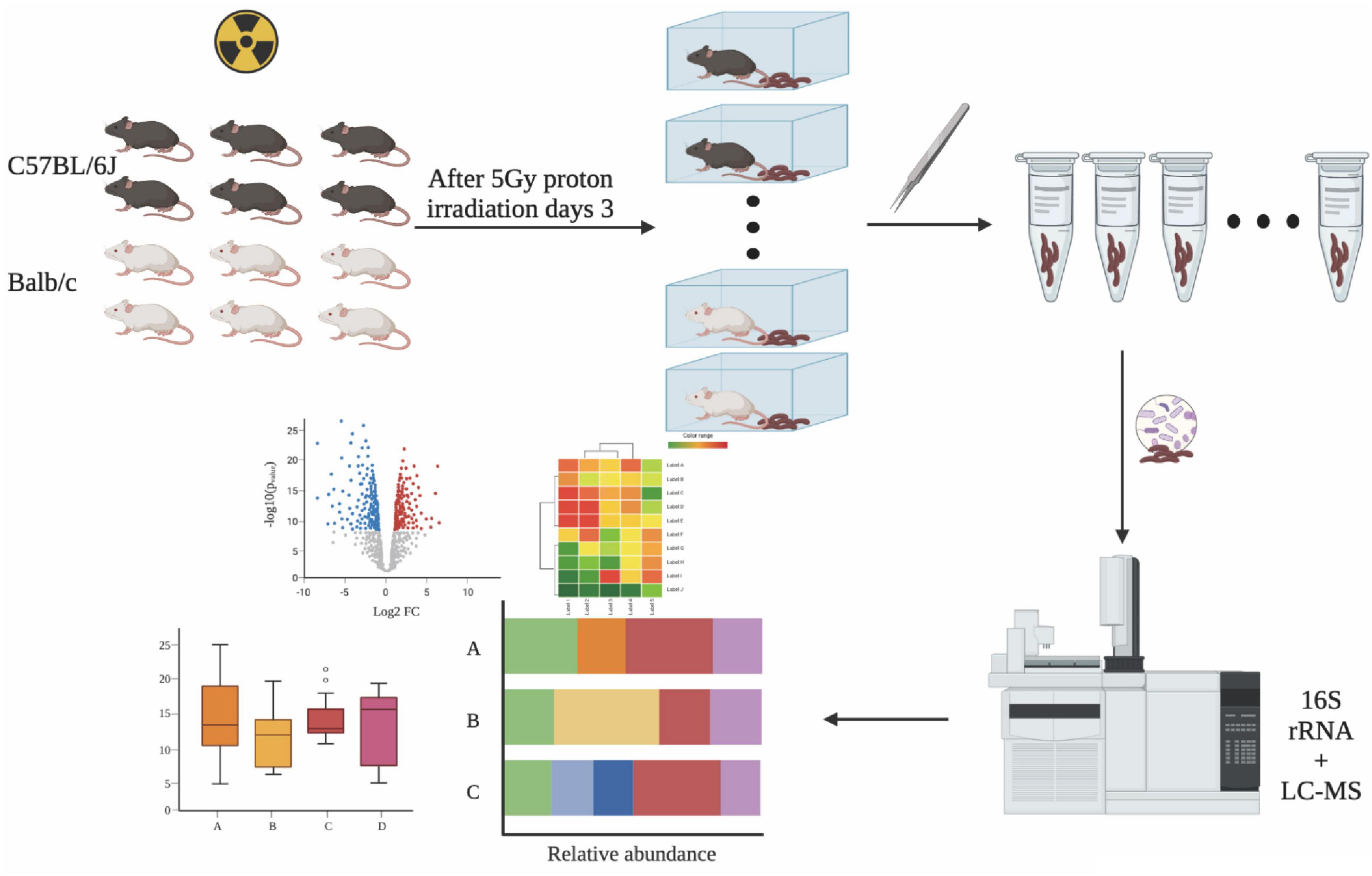 The diversity and commonalities of the radiation-resistance