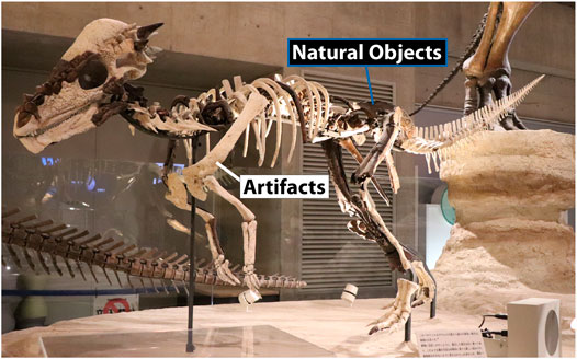 www.frontiersin.org