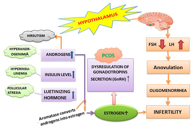 Causes of Female Infertility - Age - PCOS - Smoking