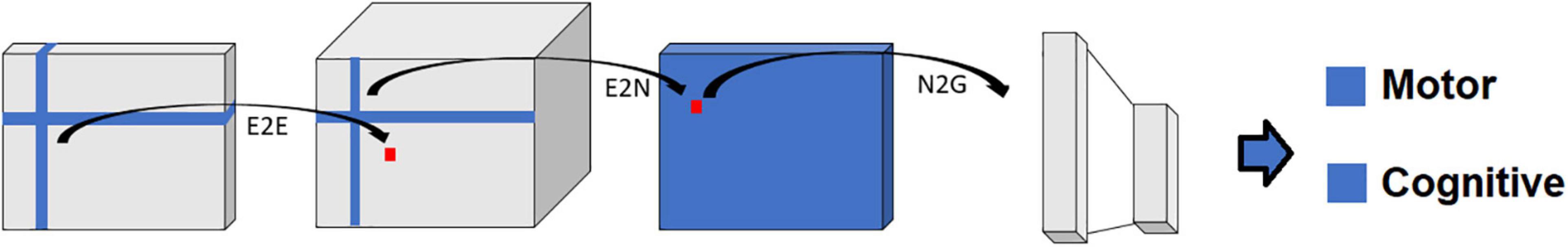 www.frontiersin.org