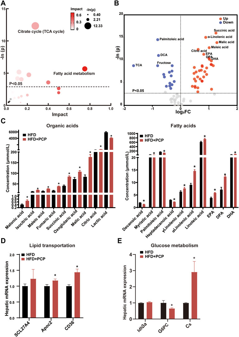 Frontiers | Theabrownin and Poria cocos Polysaccharide Improve Lipid ...