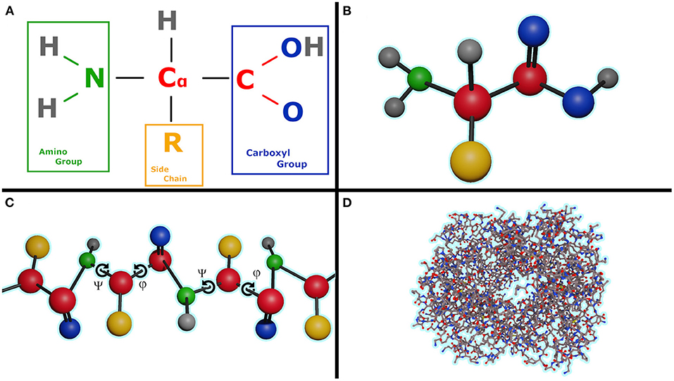 More than just pattern recognition: Prediction of uncommon protein  structure features by AI methods