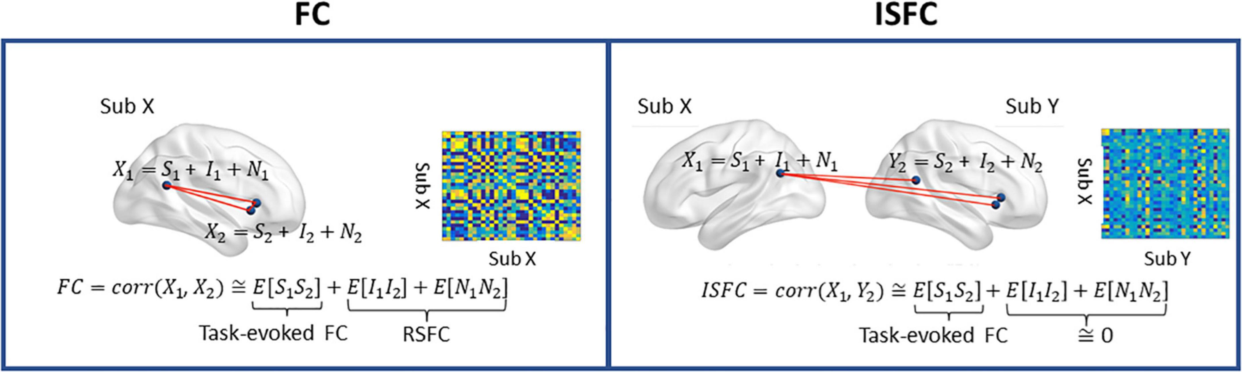 Distribution of intersubject variability in the masked