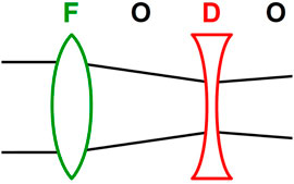 www.frontiersin.org