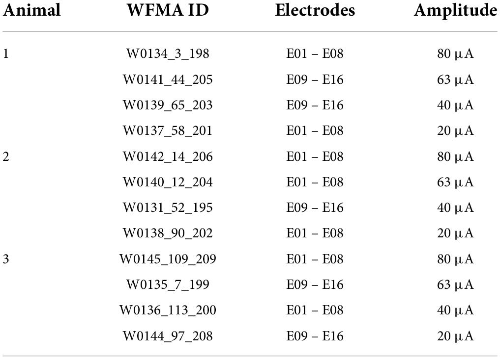 Wireless floating microelectrode array (WFMA) device before