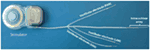 www.frontiersin.org