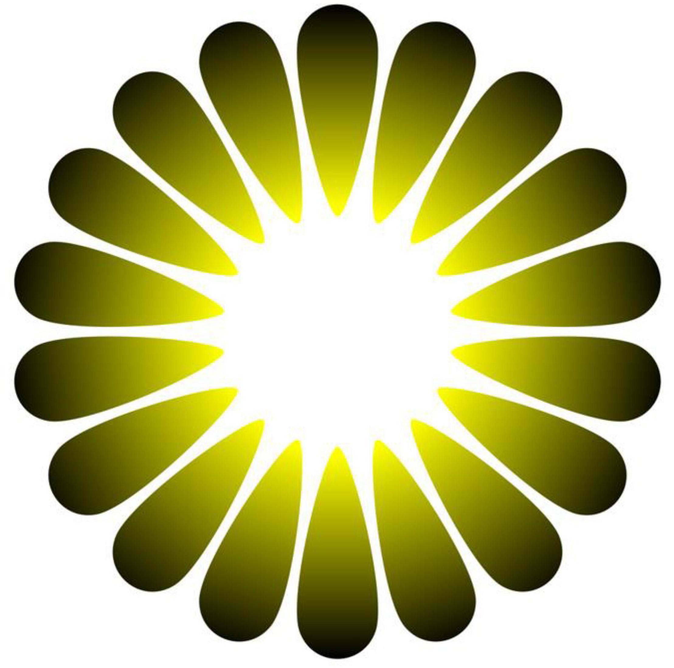 www.frontiersin.org